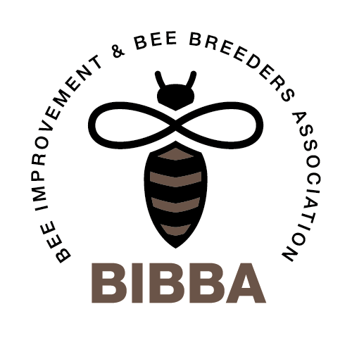 BIBBA_Logo_colour_500px
