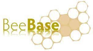 BeeBase logo